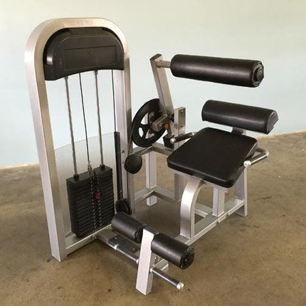 Classic Back Extension - Muscle D Fitness - Pin Selectorized, Commercial Upholstery, 11 Gauge Steel