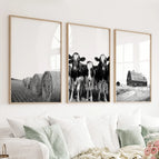 Wood Frame - no mat / 8x10 inches