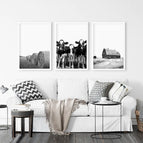 White Frame - no mat / 8x10 inches