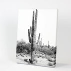 Wrapped Canvas / 8x10 inches