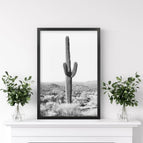 Black Frame / 8x10 inches