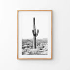 Thin Wood Frame w/ Mat / 8x10 inches