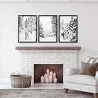 Black Frame - no mat / 8x10 inches
