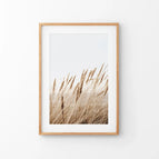 Thin Wood Frame w/ Mat / 8x10 inches