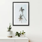 Black Frame w/ Mat / 8x10 inches