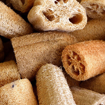 Natural Loofah Sponge