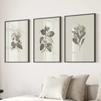 Black Frame - no mat / 8x10 inches