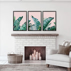 Black Frame - no mat / 8x10 inches