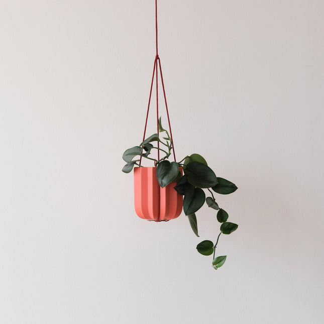 Wrap Hanging Kit