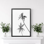 Black Frame / 8x10 inches
