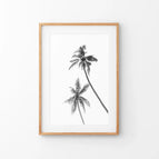 Thin Wood Frame w/ Mat / 8x10 inches