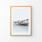 Thin Wood Frame w/ Mat / 8x10 inches