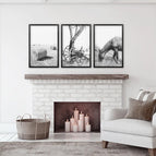 Black Frame - no mat / 8x10 inches