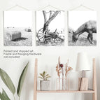 Print - unframed / 8x10 inches