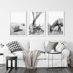 White Frame - no mat / 8x10 inches