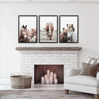 Black Frame - no mat / 8x10 inches