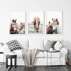 White Frame - no mat / 8x10 inches