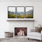 Black Frame - no mat / 8x10 inches