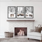 Black Frame - no mat / 8x10 inches