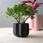 black / 4 inch