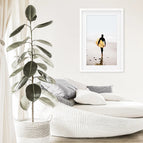 White Frame w/ Mat / 8x10 inches