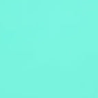 Chalky Mint / S