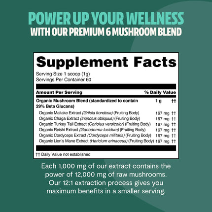 Organic Mushroom Extract Powder Blend