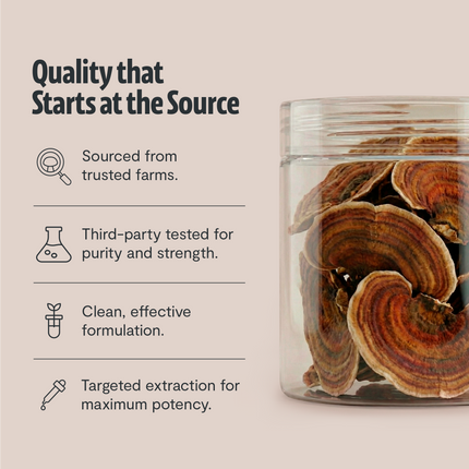 Organic Turkey Tail Mushroom Powder