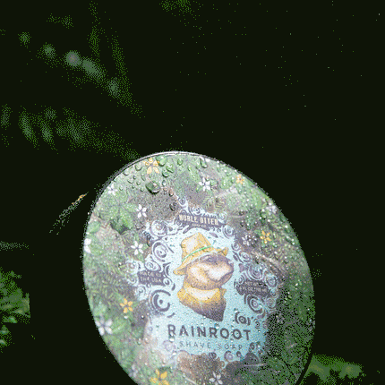 Rainroot Shave Soap